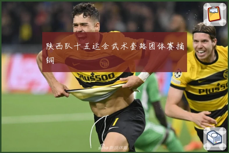 陕西队十五运会武术套路团体赛摘铜